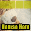 Hamsa Ham's Avatar