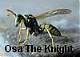 Osa The Knight